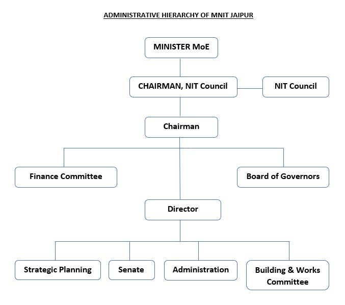 Organization Chart